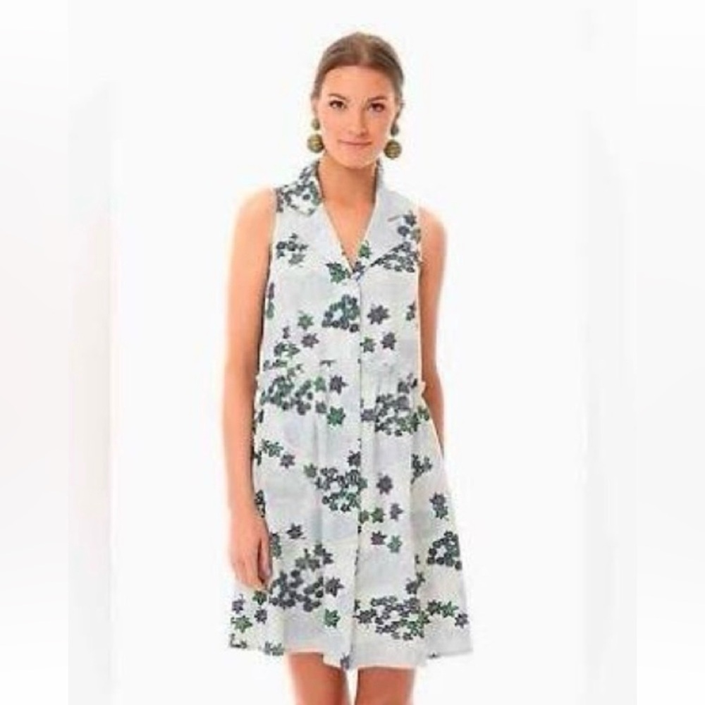 Tuckernuck Sleeveless Floral Print Mini Dress in White, Blue & Green